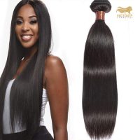 60,96 cm Straight Natuurlijke 100% Human Hair van 100gram 24inch
